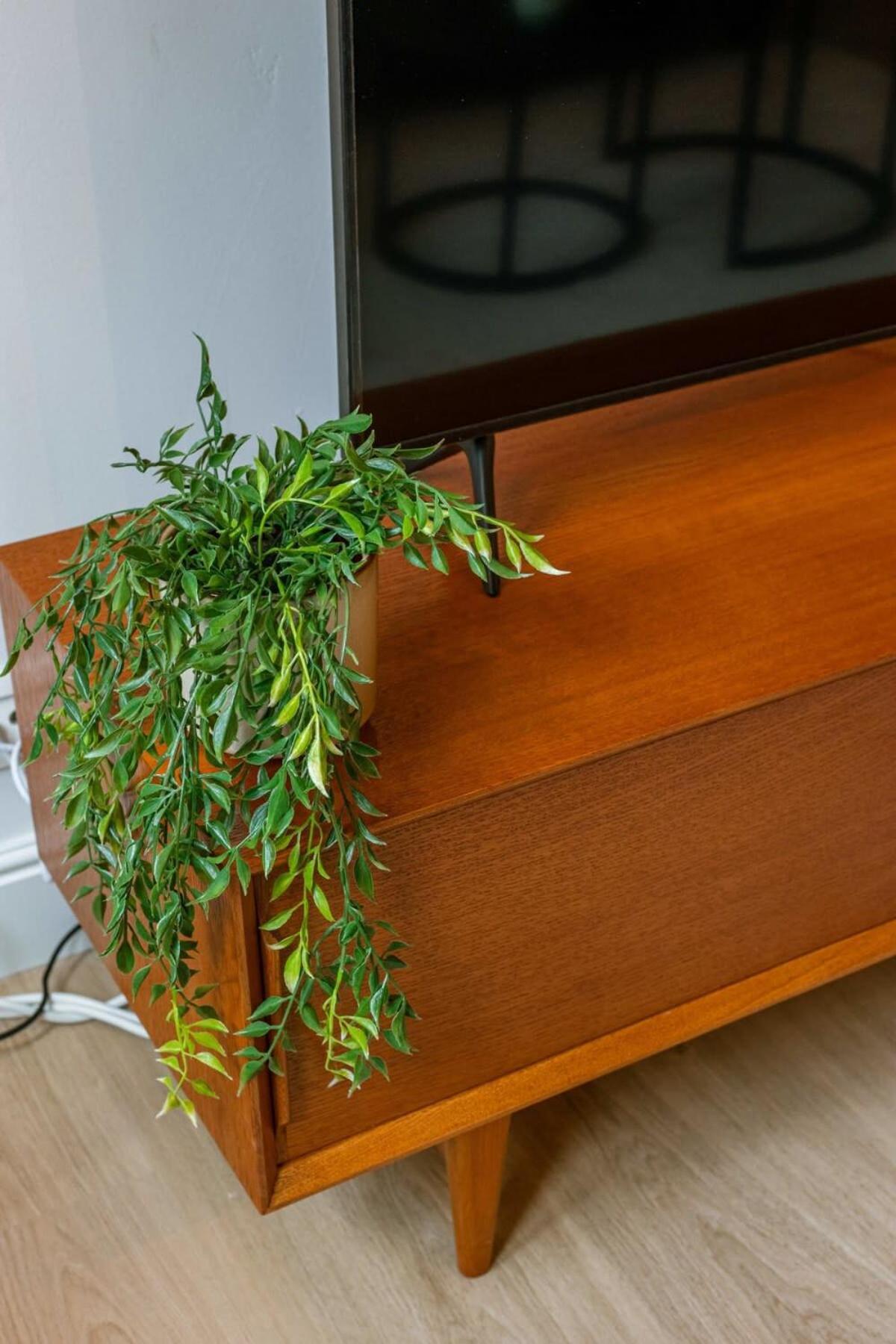 Huswell - Modern Apartment On Top Location In אנטוורפן מראה חיצוני תמונה
